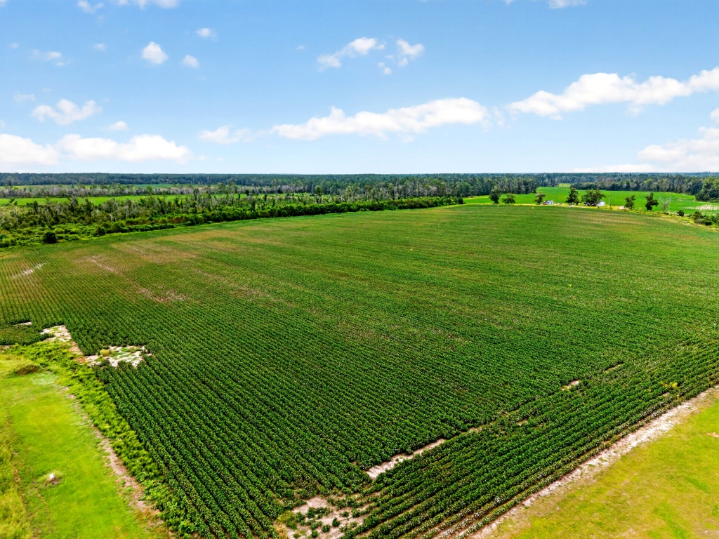 Hog Creek Farm Photo