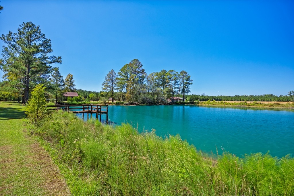 Flatwoods Trail Plantation Photo