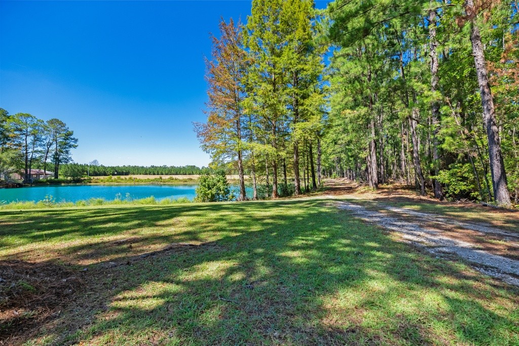 Flatwoods Trail Plantation Photo