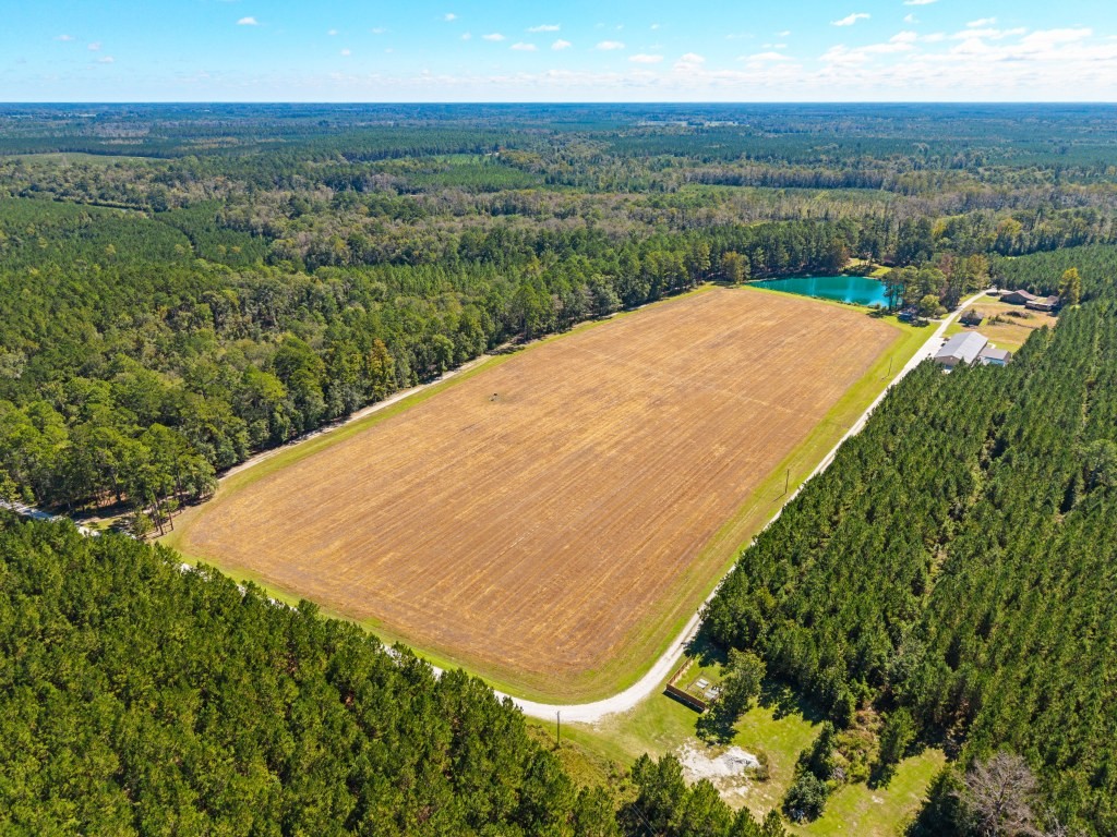 Flatwoods Trail Plantation Photo
