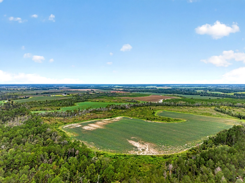 Hog Creek Farm Photo