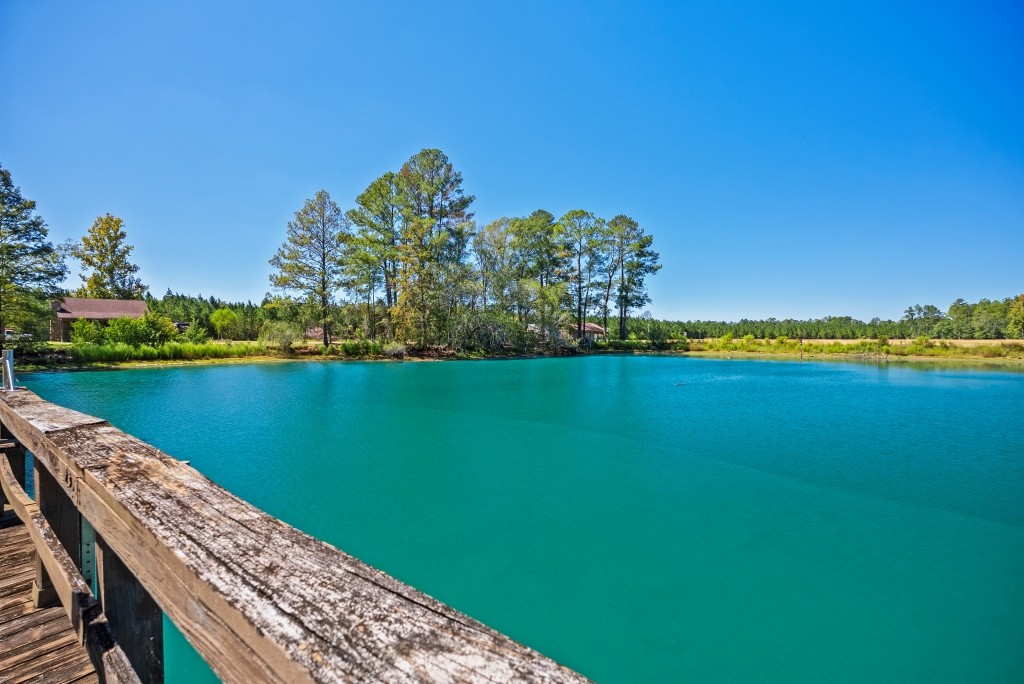 Flatwoods Trail Plantation Photo