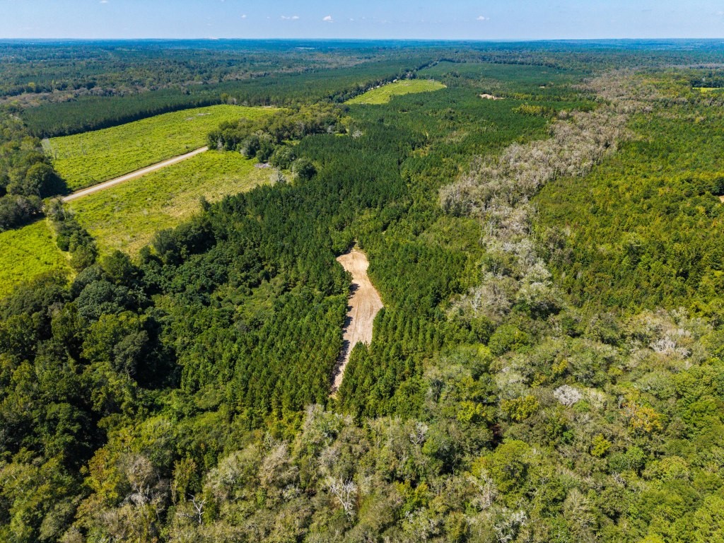 Twin Creeks Photo