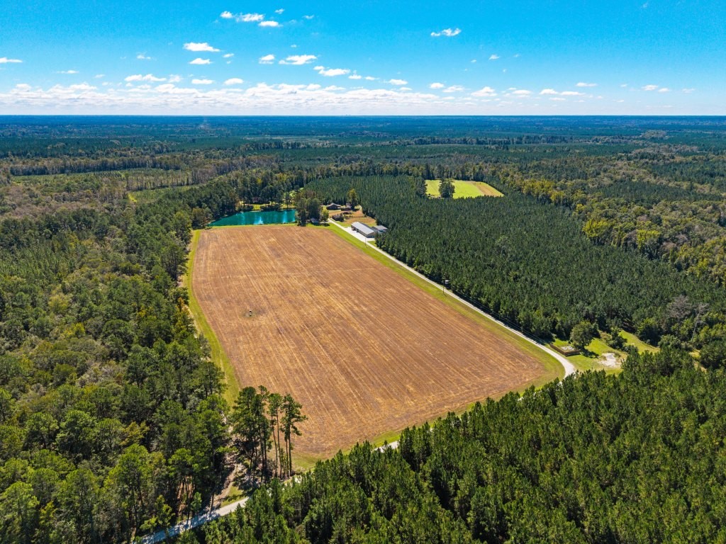 Flatwoods Trail Plantation Photo