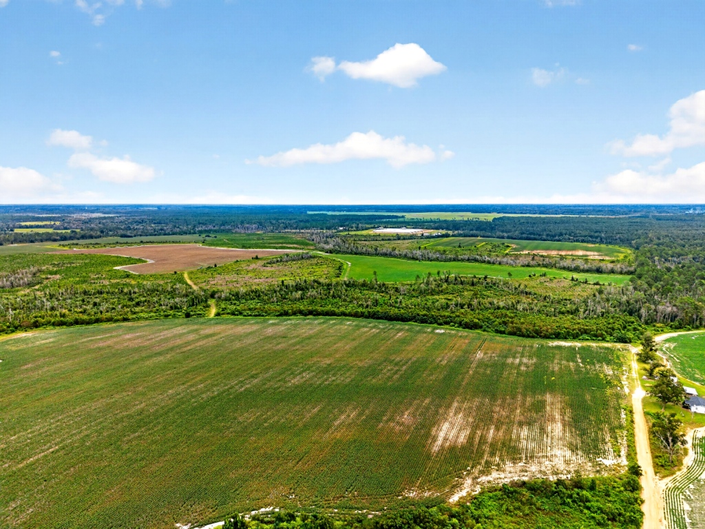 Hog Creek Farm Photo