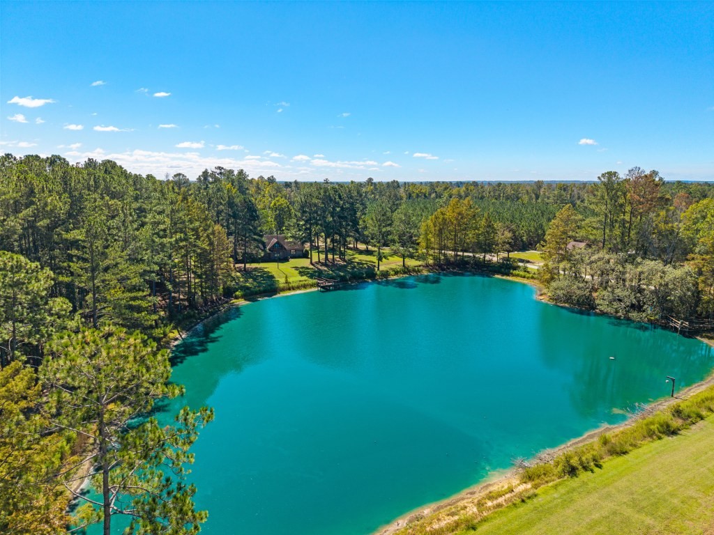 Flatwoods Trail Plantation Photo