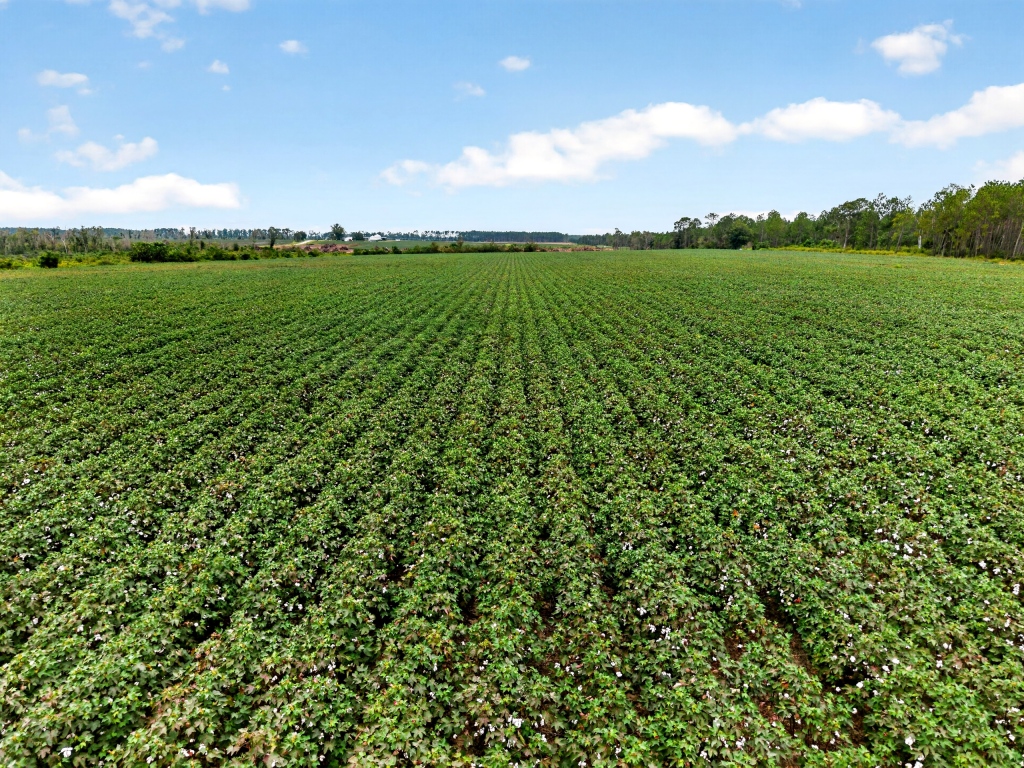 Hog Creek Farm Photo