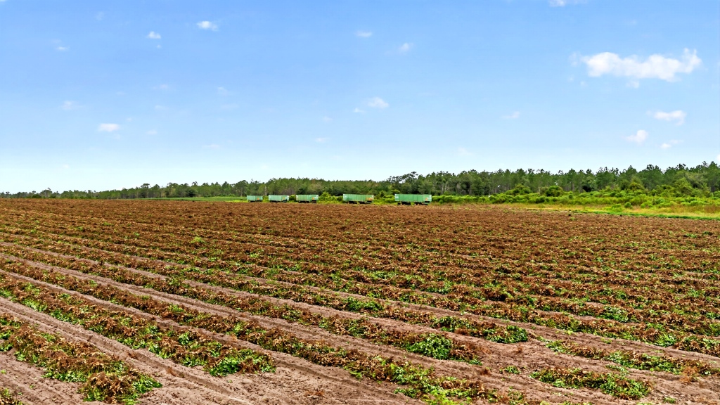 Hog Creek Farm Photo
