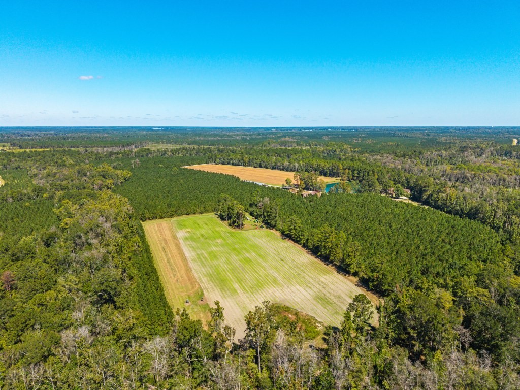Flatwoods Trail Plantation Photo