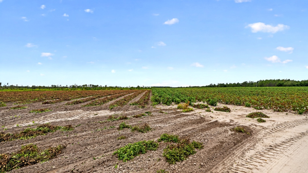 Hog Creek Farm Photo