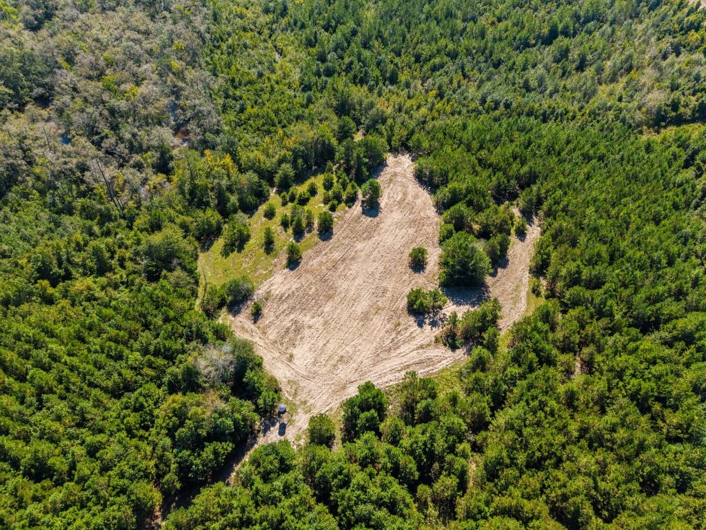 Twin Creeks Photo