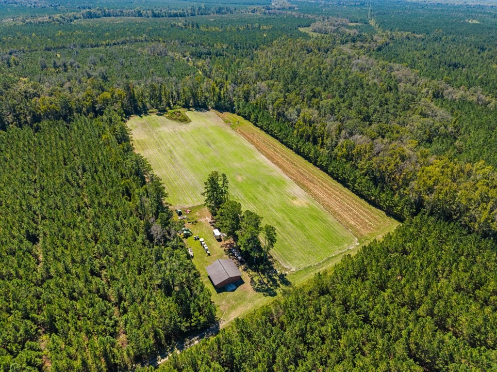Flatwoods Trail Plantation Photo