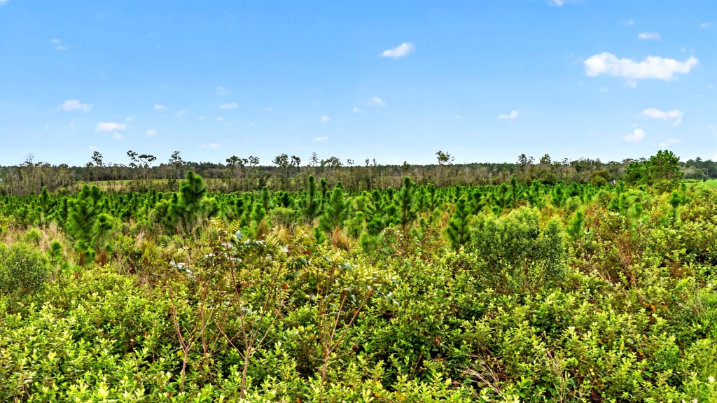 Hog Creek Farm Photo