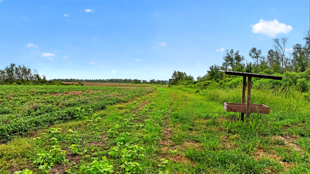 Hog Creek Farm Photo