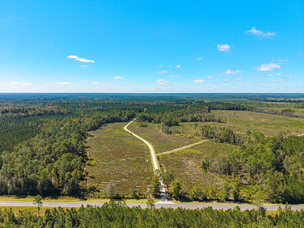 Flatwoods Trail Plantation Photo