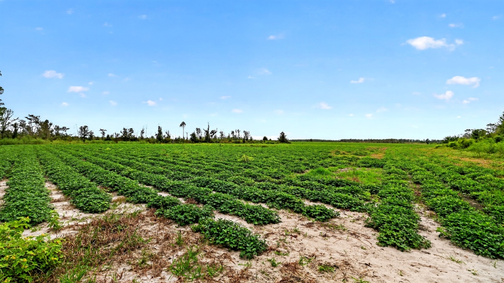 Hog Creek Farm Photo