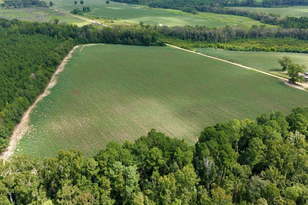 Hendrix Farm Photo