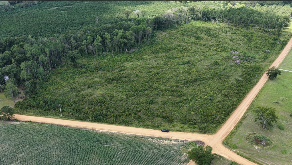 Hendricks Timber Photo