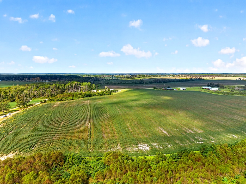 Hog Creek Farm Photo