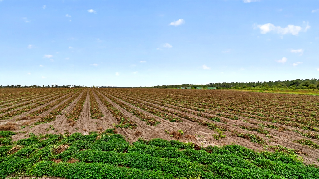 Hog Creek Farm Photo