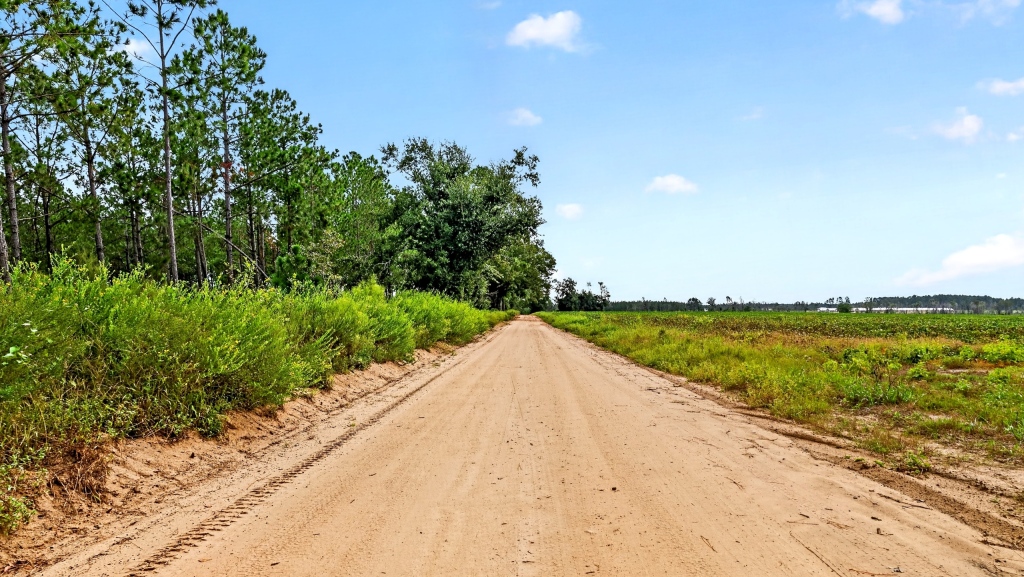 Hog Creek Farm Photo