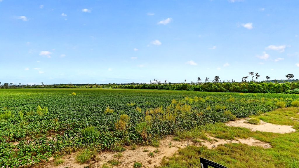 Hog Creek Farm Photo