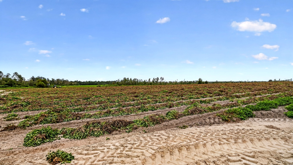 Hog Creek Farm Photo