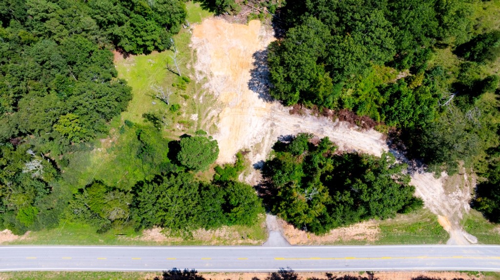 Hwy 56 Woods Photo