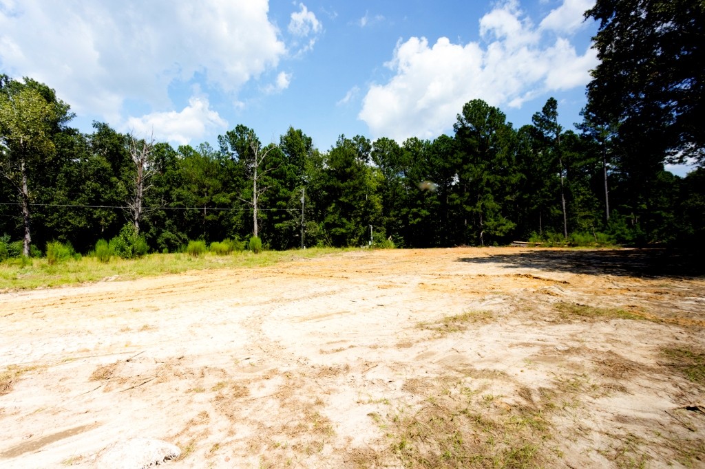 Hwy 56 Woods Photo