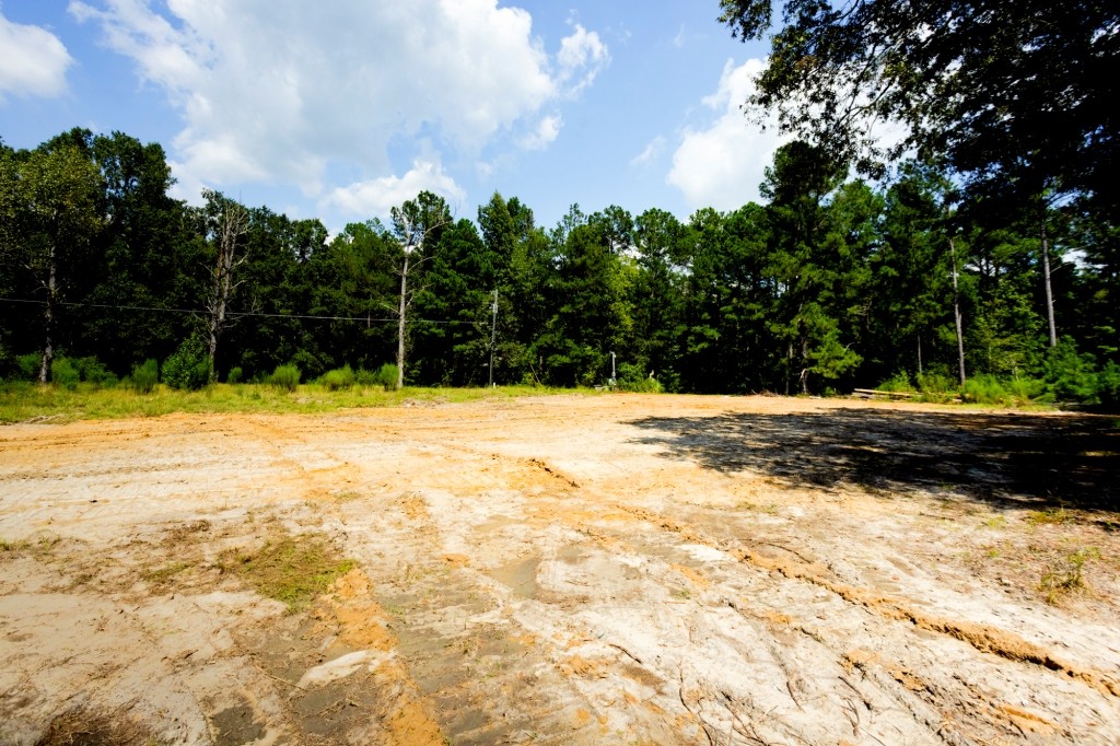 Hwy 56 Woods Photo
