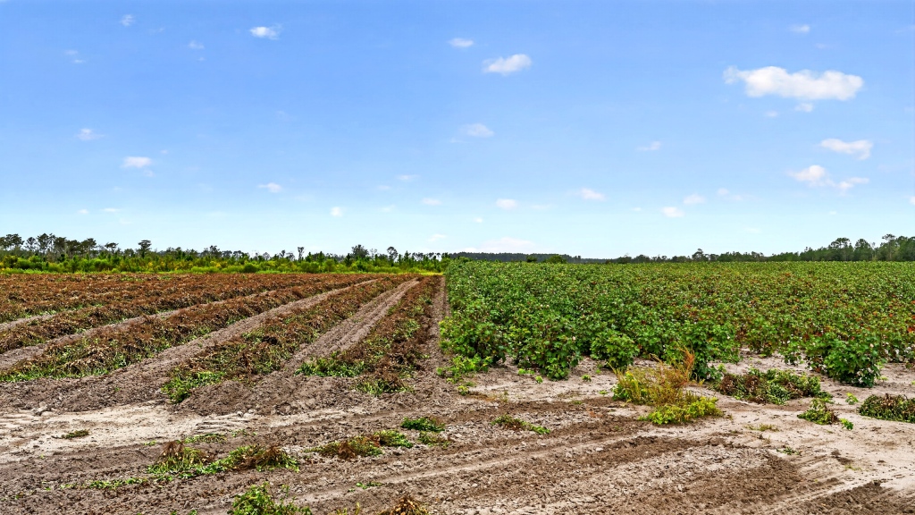 Hog Creek Farm Photo