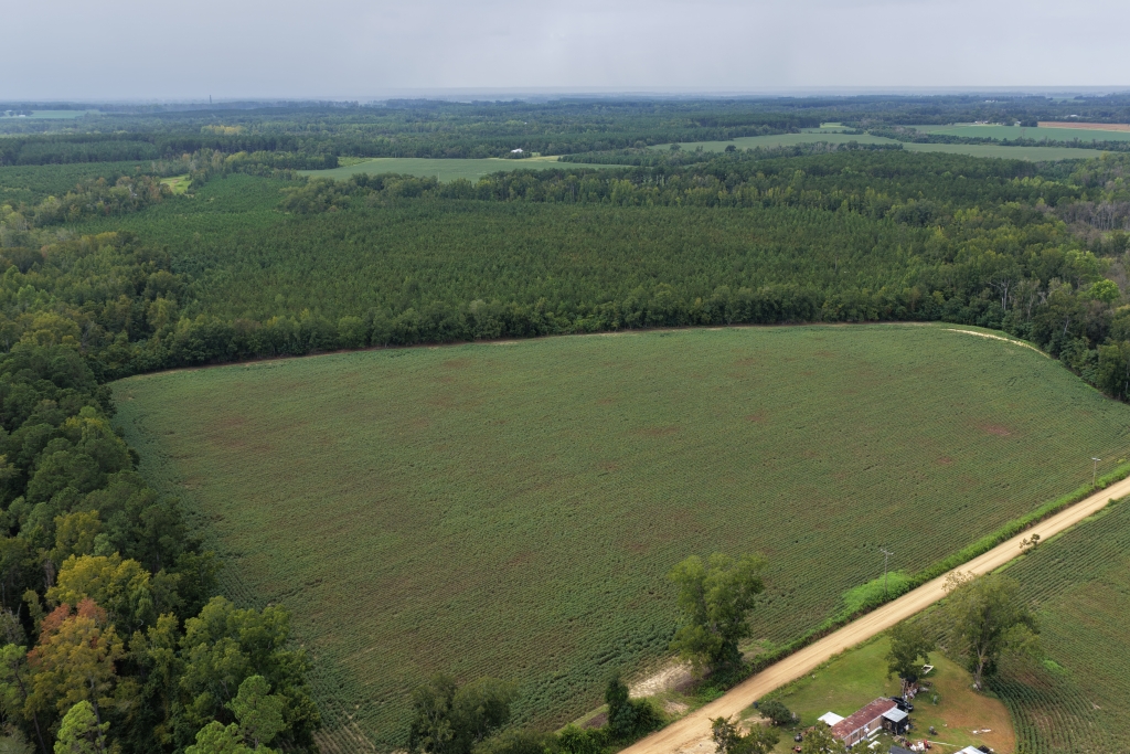 Hendrix Farm Photo