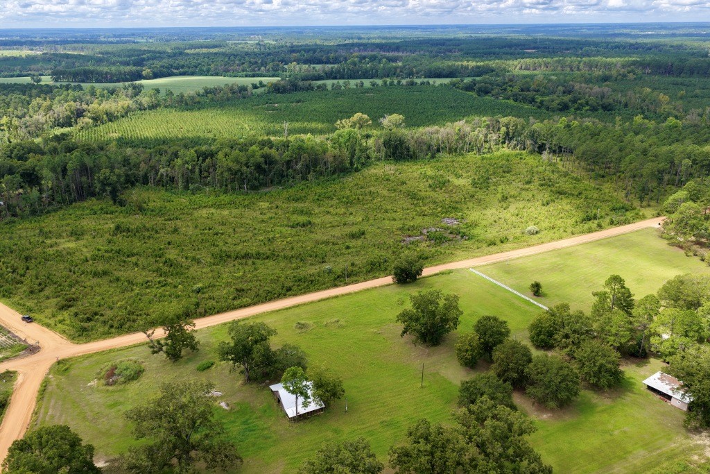 Hendricks Timber Photo
