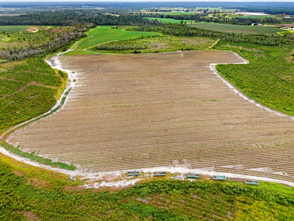 Hog Creek Farm Photo