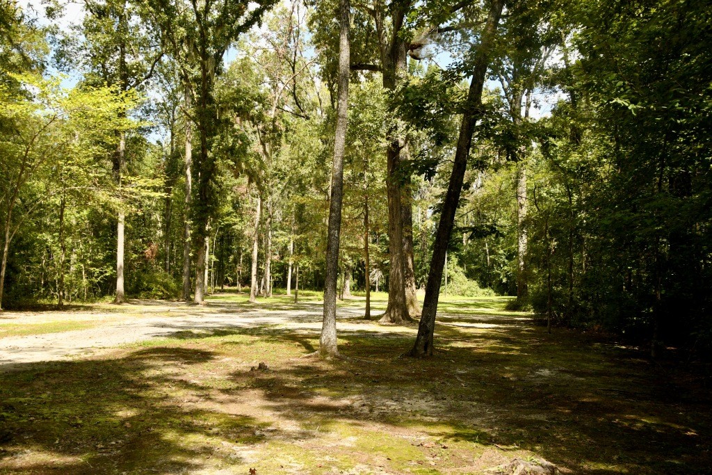 Riverfront Retreat Photo
