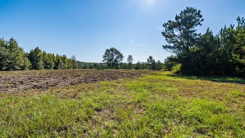 Twin Creeks Photo