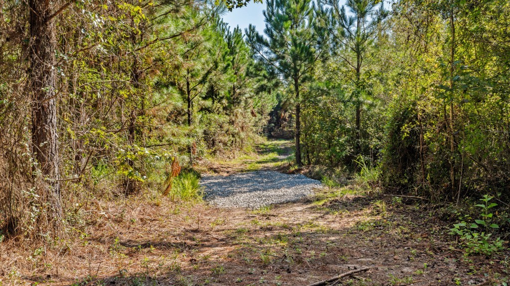 Twin Creeks Photo