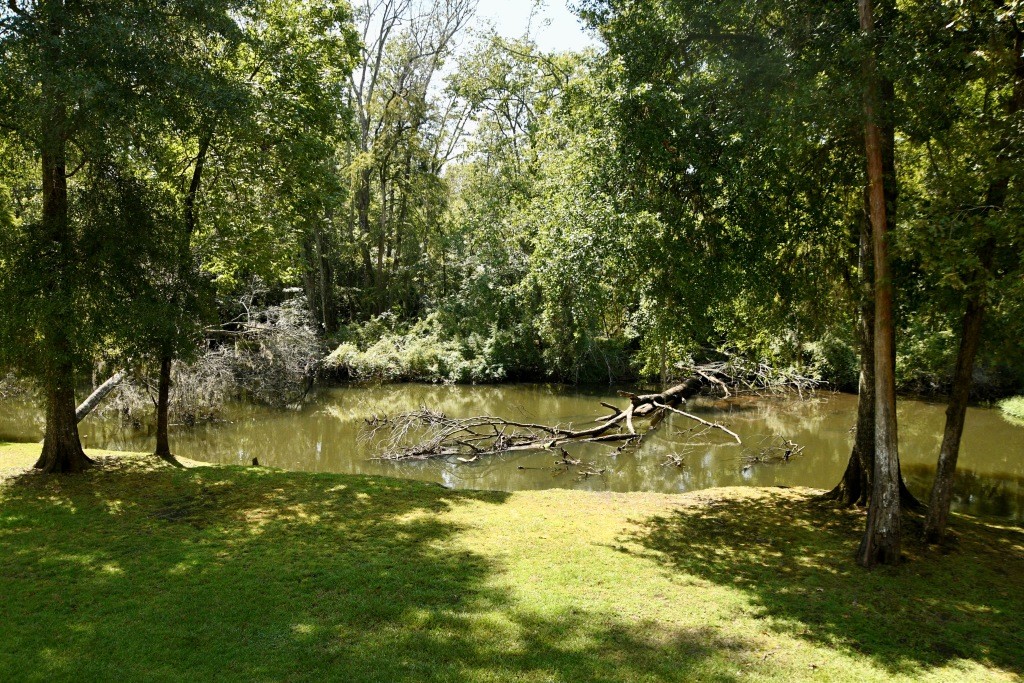 Riverfront Retreat Photo