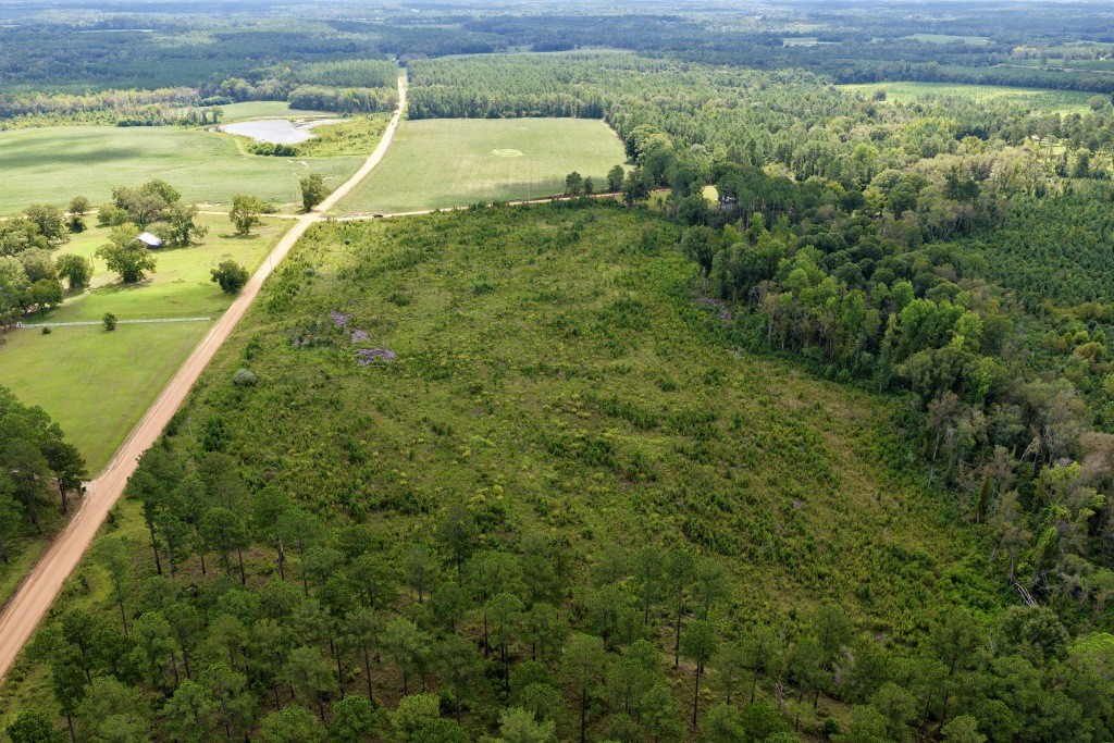 Hendricks Timber Photo