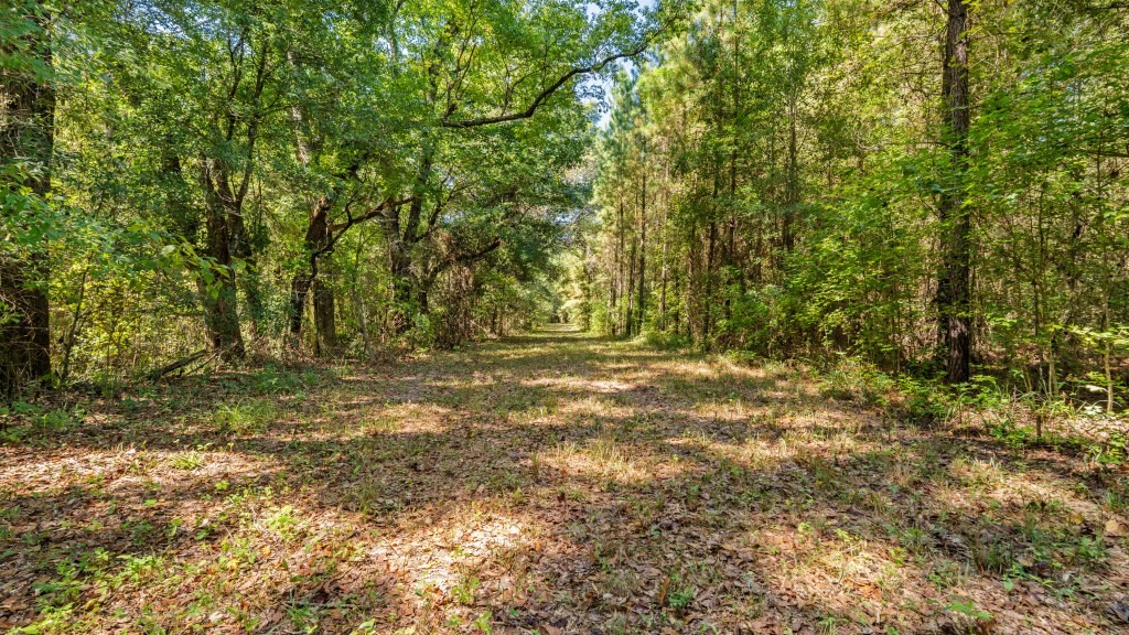 Twin Creeks Photo