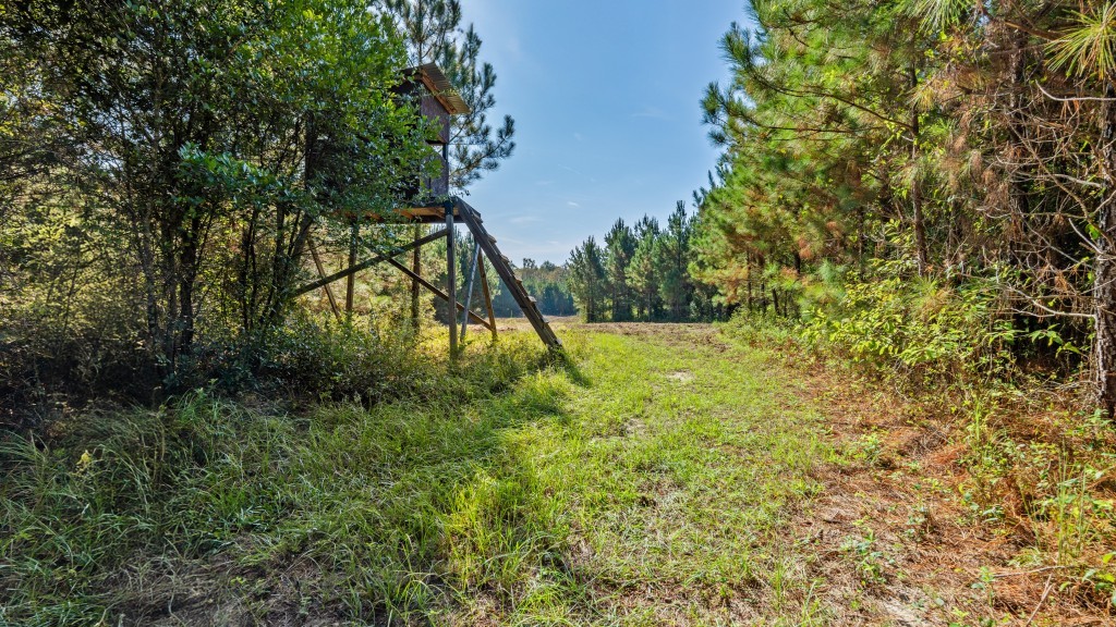 Twin Creeks Photo