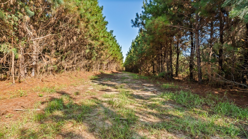 Twin Creeks Photo