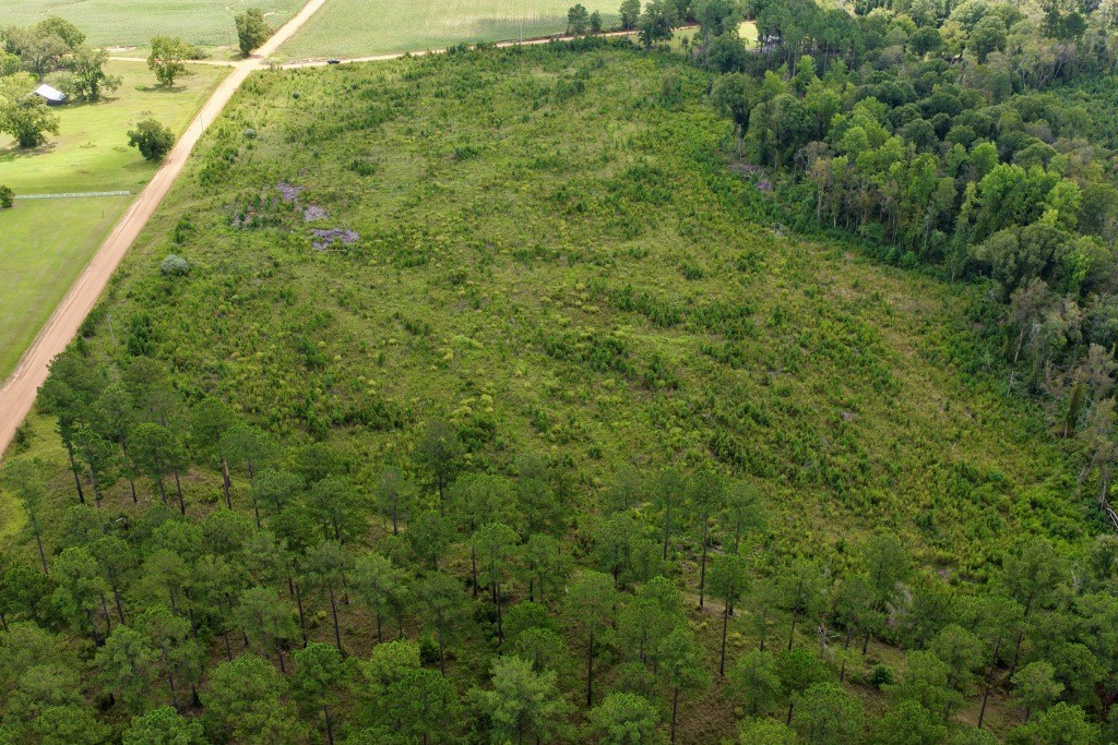 Hendricks Timber Photo