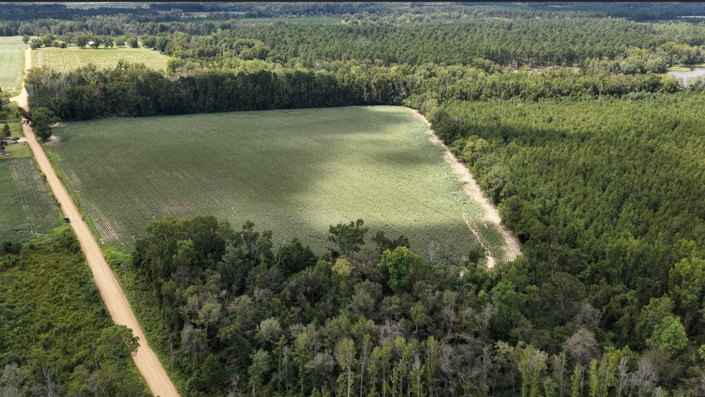 Hendrix Farm Photo