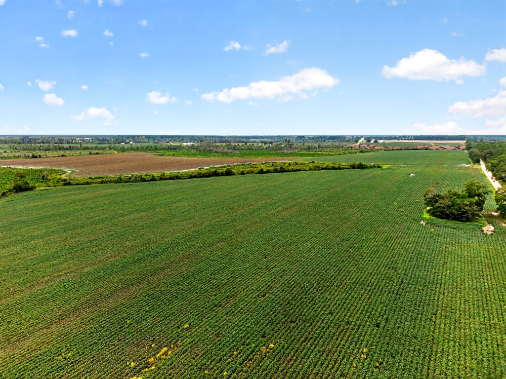 Hog Creek Farm Photo