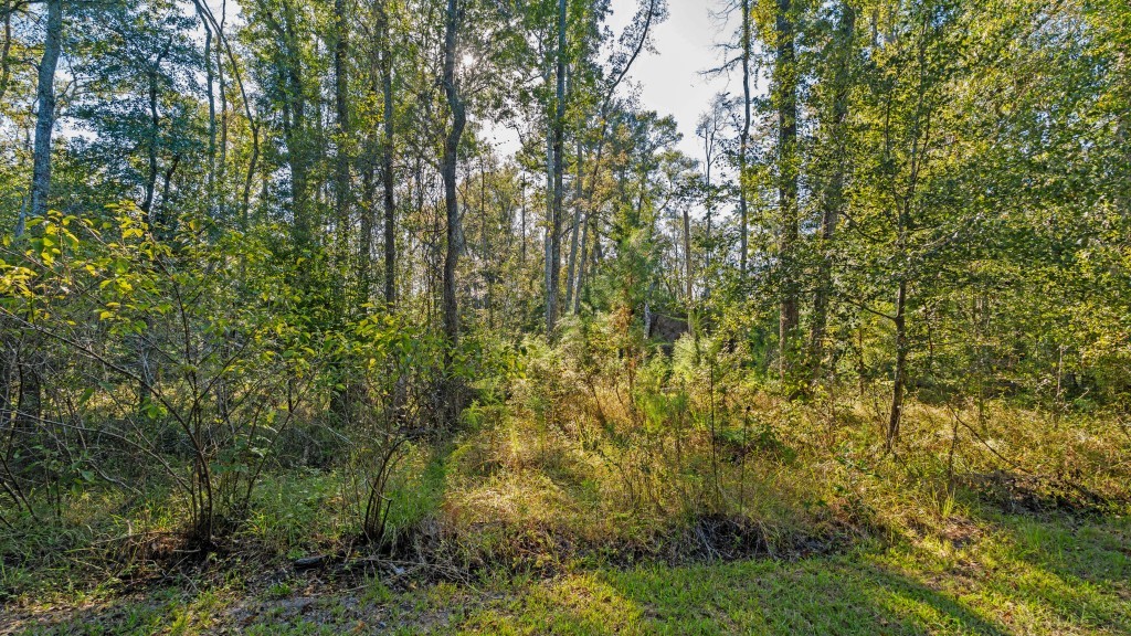 Flatwoods Trail Plantation Photo