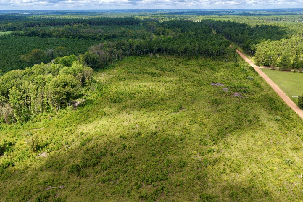 Hendricks Timber Photo