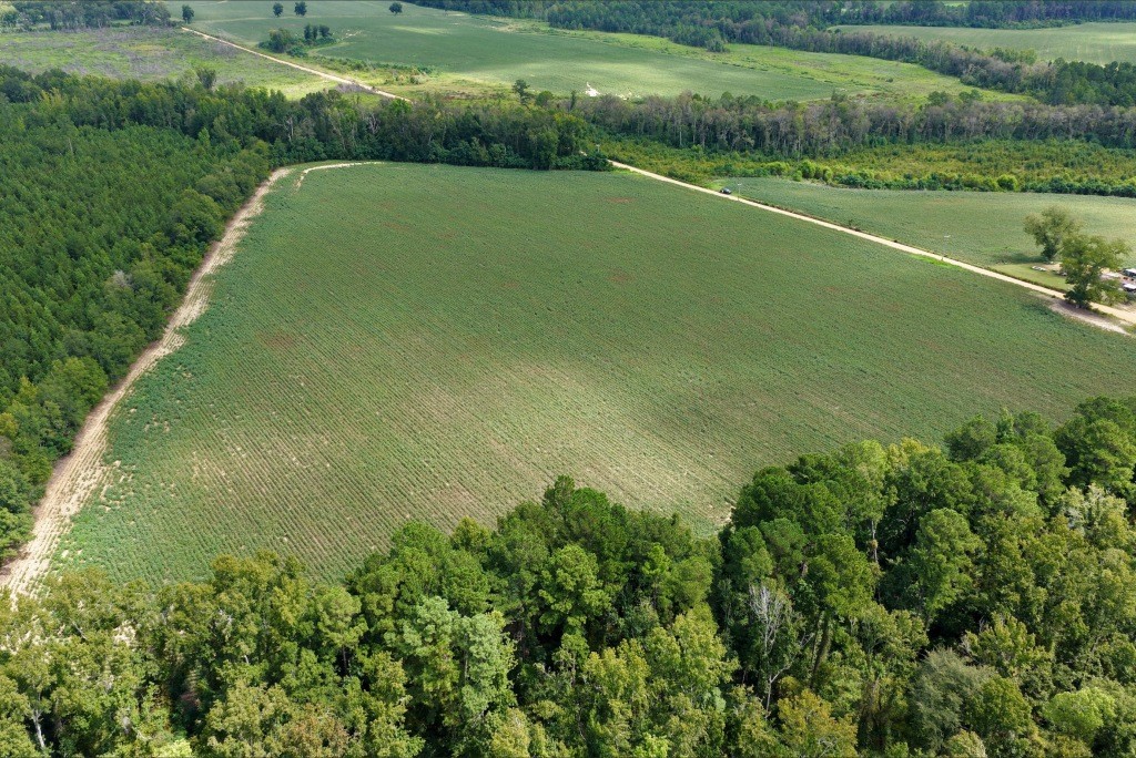 Hendrix Farm Photo