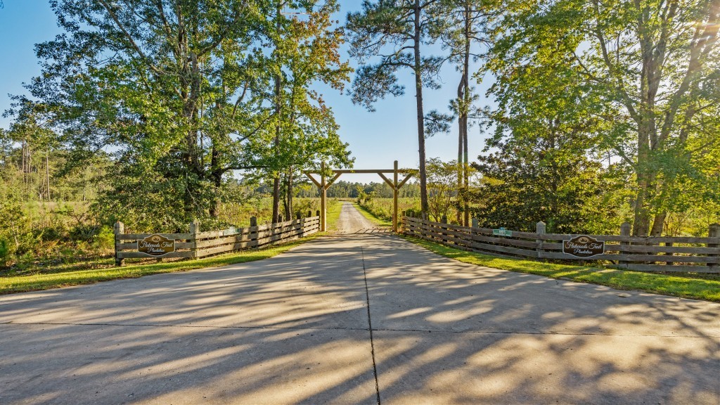 Flatwoods Trail Plantation Photo