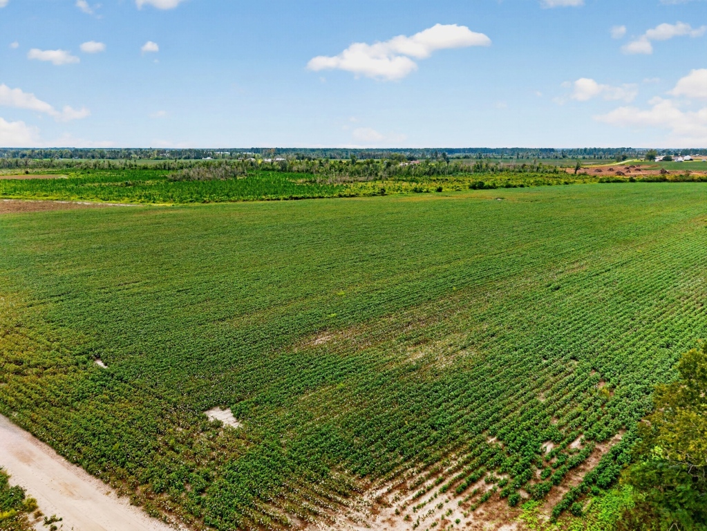Hog Creek Farm Photo